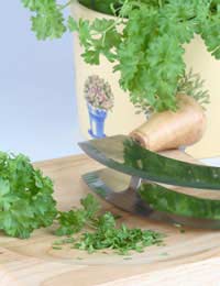 herbs growing in a container